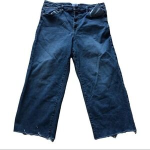 Daily Ritual Barrel Jeans Size 32 Button Fly High Rise Raw Hem Wide Leg Stretch